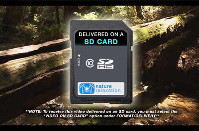 "Peaceful Forest Creek" Static Nature Screensaver HD 1080p