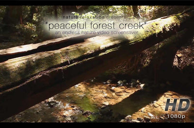"Peaceful Forest Creek" Static Nature Screensaver HD 1080p