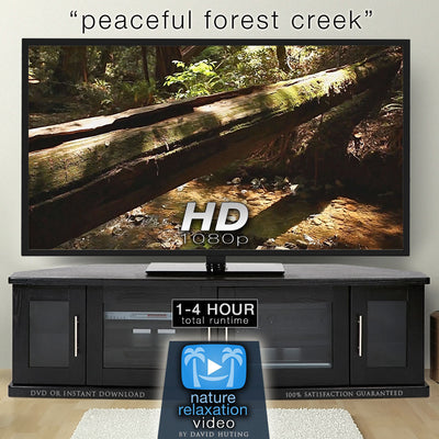 "Peaceful Forest Creek" Static Nature Screensaver HD 1080p