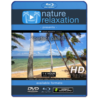 "Perfect Palms" Tropical Fiji Static Nature Video Scene