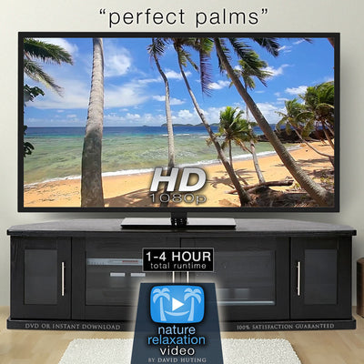 "Perfect Palms" Tropical Fiji Static Nature Video Scene