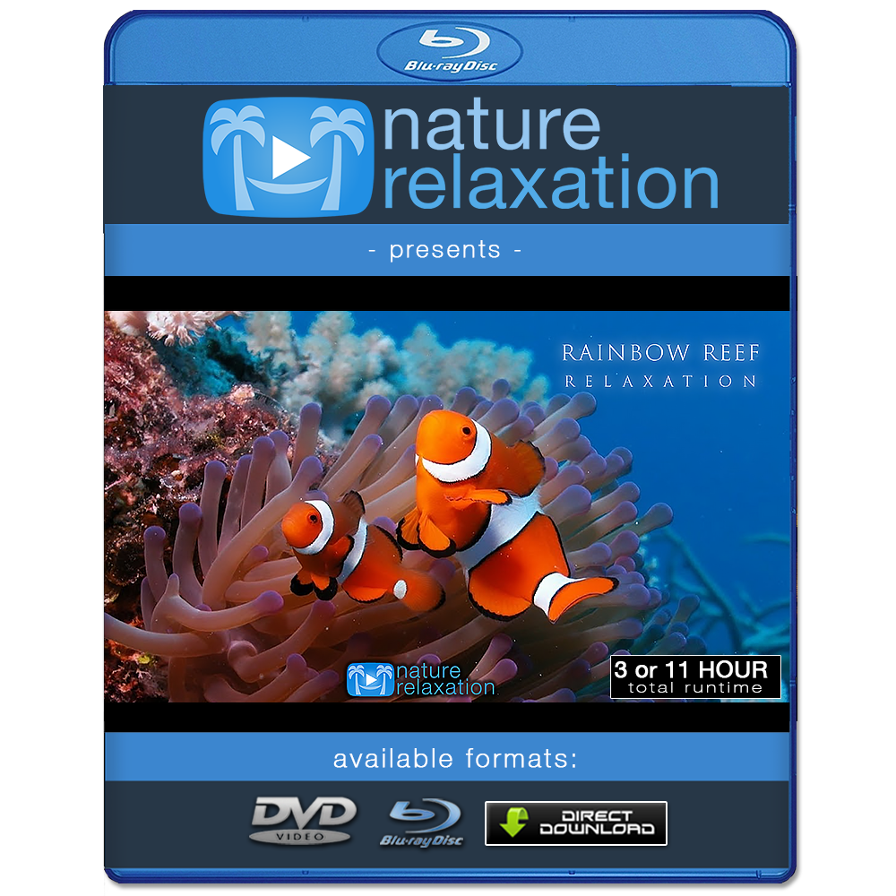 "Rainbow Reef Relaxation" 1, 3 or 11 HR Dynamic Underwater Film + Music