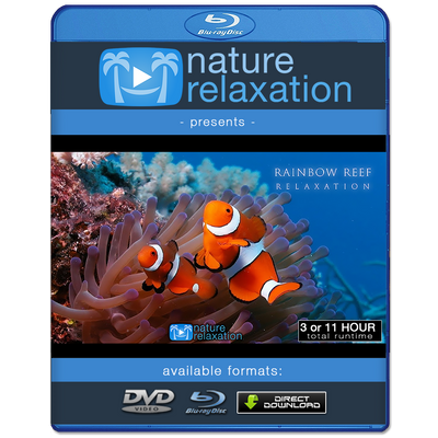 "Rainbow Reef Relaxation" 1, 3 or 11 HR Dynamic Underwater Film + Music
