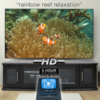 "Rainbow Reef Relaxation" 1, 3 or 11 HR Dynamic Underwater Film + Music