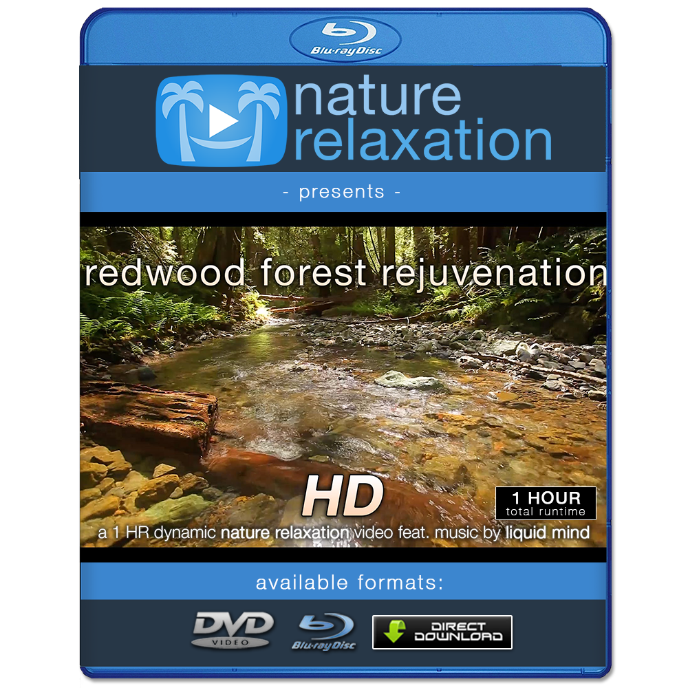 "Redwood Forest Rejuvenation" HD Nature Relaxation Video 1 Hour 1080p