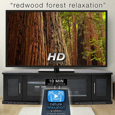 "Redwood Forest Relaxation" Healing  10 Minute Nature Relaxation Video HD 1080p