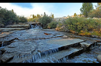 "Singing Forest Guitars" Sierra Creeks 2 Miin Relaxing 4K Music Video 432HZ