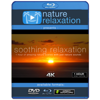 "Soothing Relaxation" 1HR Ultra-Dynamic Ambient Film Shot in 4K UHD