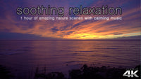 "Soothing Relaxation" 1HR Ultra-Dynamic Ambient Film Shot in 4K UHD
