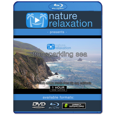 "The Sparkling Sea" 1 HR Static 4K Nature Video from Big Sur