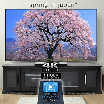 "Spring in Japan" 1 Hour Aerial Film + Piano Music 4K