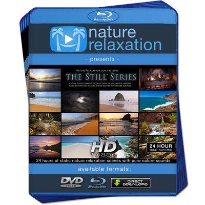 "The Still Collection" 24 Scenes Bundle, 24+ HOURS of Fixed Nature Scene Videos