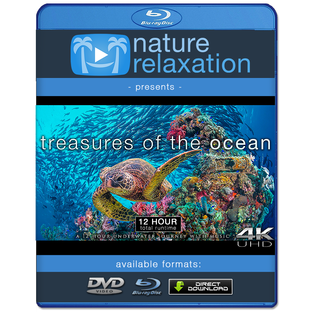 "Treasures of the Ocean" 12 Hour Film Compilation + Music 4K