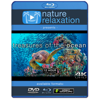 "Treasures of the Ocean" 12 Hour Film Compilation + Music 4K