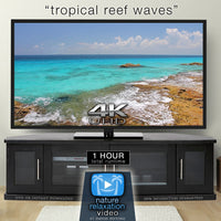 "Tropical Reef Waves" Cancun 1 HR Still 4K Nature Relaxation Video