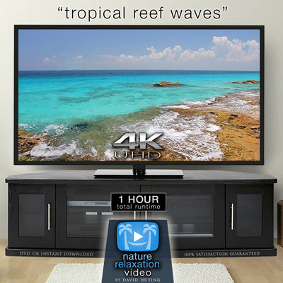 "Tropical Reef Waves" Cancun 1 HR Still 4K Nature Relaxation Video