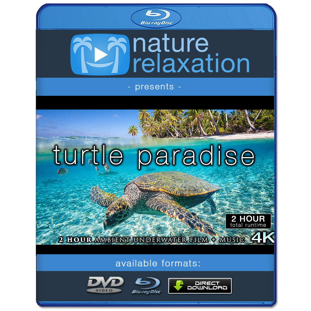 "Turtle Paradise" 2 or 8 Hour Undersea Nature Film + Music 4K