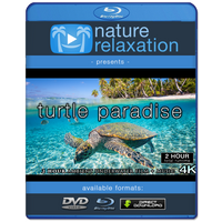 "Turtle Paradise" 2 or 8 Hour Undersea Nature Film + Music 4K