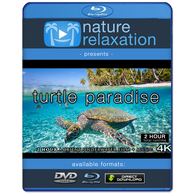 "Turtle Paradise" 2 or 8 Hour Undersea Nature Film + Music 4K