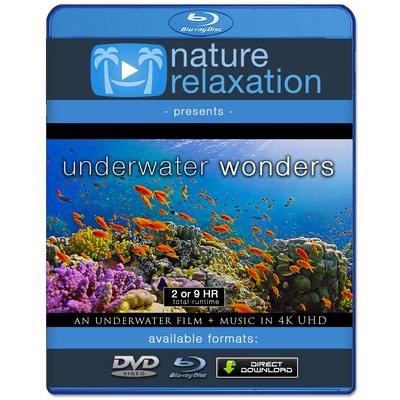 "Underwater Wonders" 2 or 9 HR Underwater Film + Music in 4K UHD