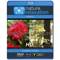 "Wonders of Nature" 1 HR Dynamic Nature Relaxation Video 1080p