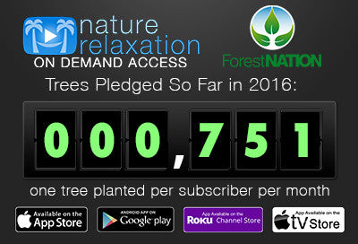 Help Me Plant a Million Trees Every Year!