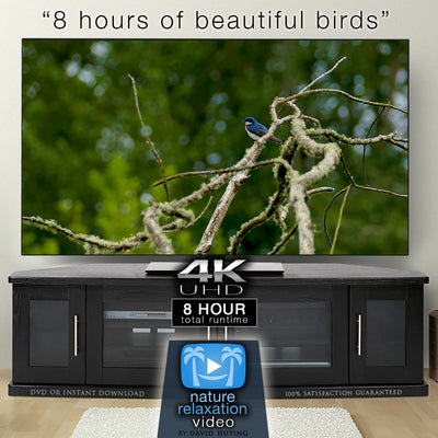 " 8 Hours of Beautiful Birds"4K UHD Dynamic Nature Video
