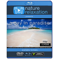 "A Day In Paradise" Fiji Islands 4 HR Dynamic Pure Nature Experience