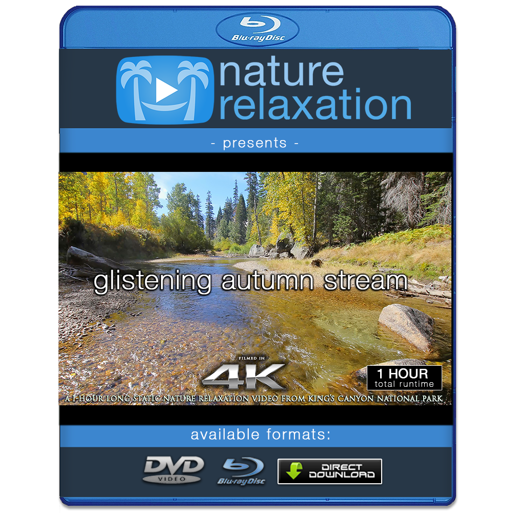 "Glistening Autumn Stream" 1 HR Static Nature Video 4K