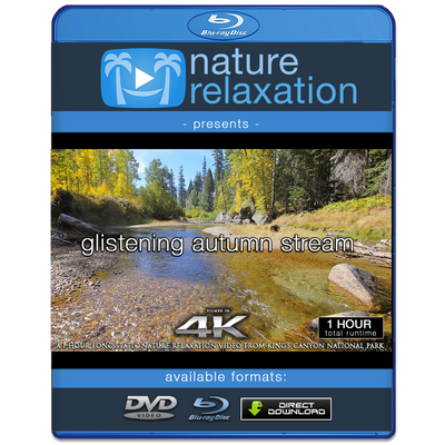 "Glistening Autumn Stream" 1 HR Static Nature Video 4K
