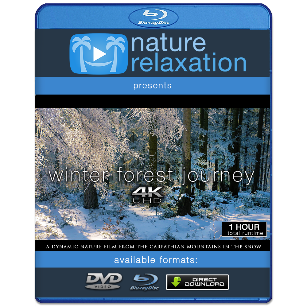 "Winter Forest Journey" 4K Dynamic 1-Hour Nature Relaxation Film