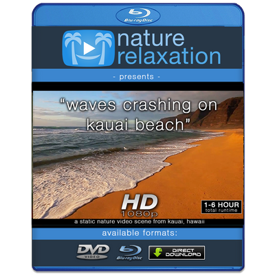 "Waves Crashing on Kauai Beach" Looping Nature Relaxation Video Screensaver HD 1080p