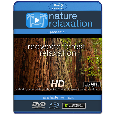 "Redwood Forest Relaxation" Healing  10 Minute Nature Relaxation Video HD 1080p