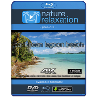 "Caribbean Lagoon Beach" 1 Hour 4K Static Nature Video
