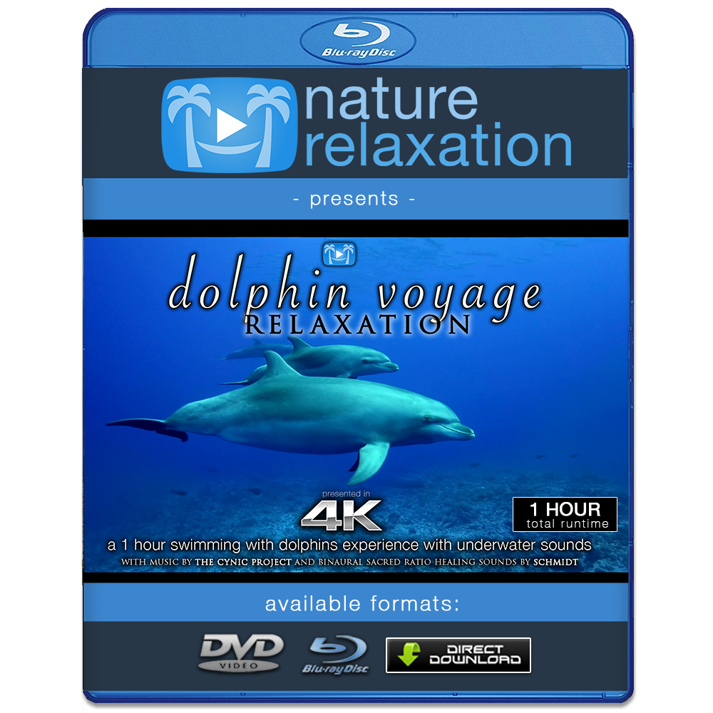 "Dolphin Voyage Relaxation" 1 Hour Dynamic Music Video
