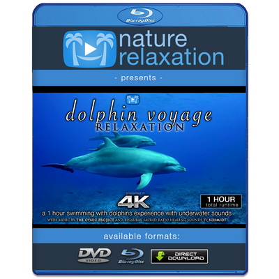 "Dolphin Voyage Relaxation" 1 Hour Dynamic Music Video