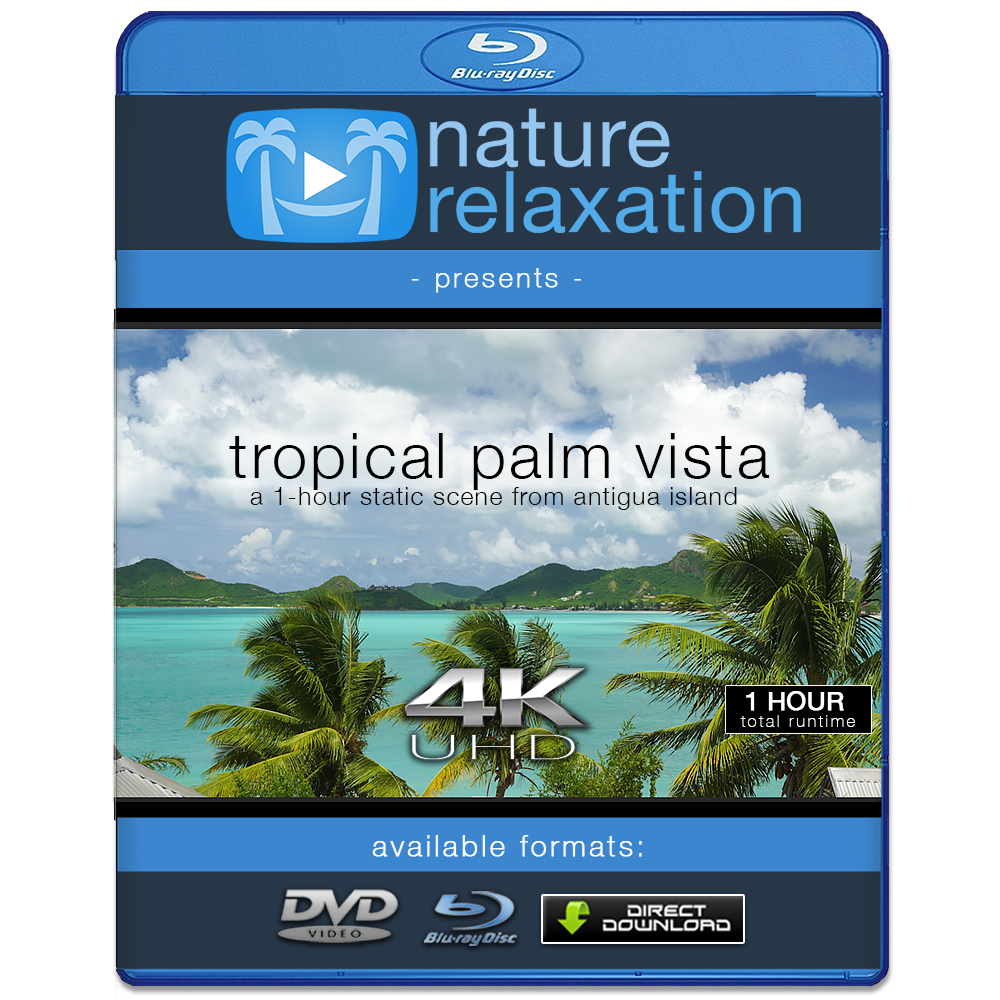 "Tropical Palm Vista" 1 HR 4K Static Caribbean Video