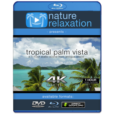 "Tropical Palm Vista" 1 HR 4K Static Caribbean Video