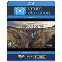 "Summer in Yellowstone" 1.25HR Dynamic 4K Ambient Nature Film w Music