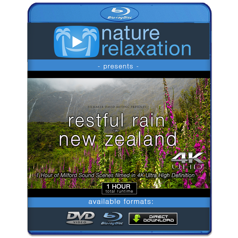 "Restful Rain in New Zealand" 1 HR Dynamic 4K Ambient Nature Film