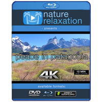 "Peace in Patagonia" 10 MIN 4K Dynamic Relaxation Video w Music