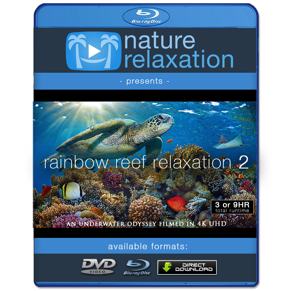 Rainbow Reef Relaxation II