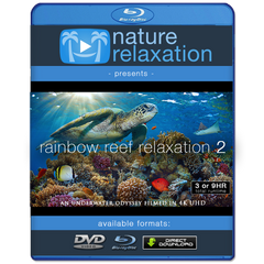 "Rainbow Reef Relaxation II" 3 or 9 Hour Undersea Nature Film + Music 4K