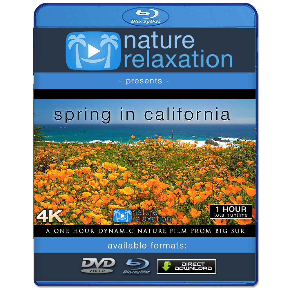 "Spring in California" 1 HR Dynamic 4K Nature Film (2020)