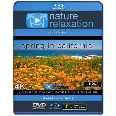 "Spring in California" 1 HR Dynamic 4K Nature Film (2020)