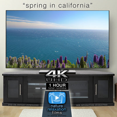 "Spring in California" 1 HR Dynamic 4K Nature Film (2020)