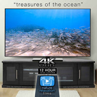 "Treasures of the Ocean" 12 Hour Film Compilation + Music 4K