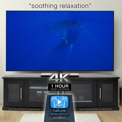 "Soothing Relaxation" 1HR Ultra-Dynamic Ambient Film Shot in 4K UHD