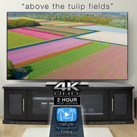 "Above the Tulip Fields" Holland 2-Hour Aerial Nature Film + Piano Music 4K