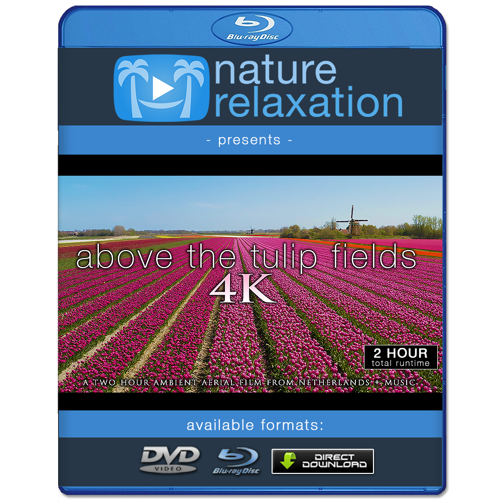 "Above the Tulip Fields" Holland 2-Hour Aerial Nature Film + Piano Music 4K